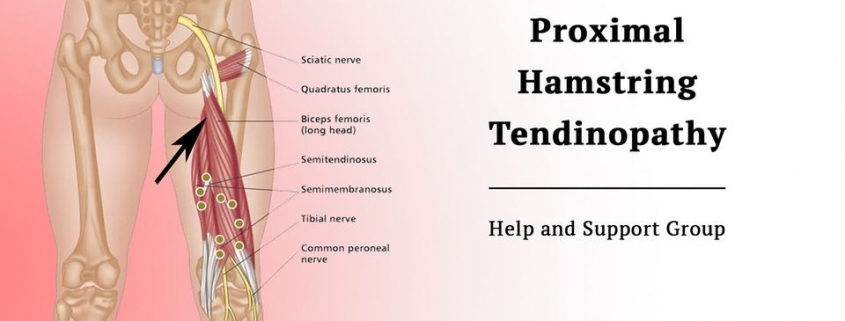 The Proximal Hamstring Tendinopathy Group